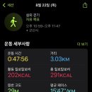 청춘돈까스 이미지