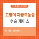 목련동물병원 이미지