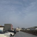 182 | 경남 사천 회포장 삼천포 용궁 수산시장 182번 대건횟집 내돈내산 후기