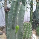 두꺼비농장 이미지