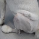 양산동물메디컬센터 이미지