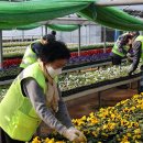 백양산 양묘장 이미지