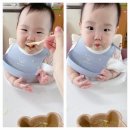 [내돈내산]아이보리 베베 유기농 채소수