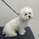 와니동물병원 이미지