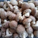 형기농장 이미지