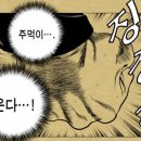 주먹이 이미지