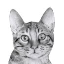 색연필 그리고 연필화 이미지