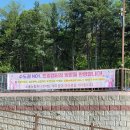 어린이날 트멍캠핑장 후기/키즈캠핑장 추천