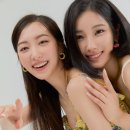 앨리스 핏 이미지