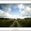 태흥목장 이미지