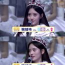 키쿠 이미지