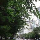 인천타이어싼곳 타이어짱 송도점 이미지