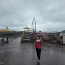 임실 / 옥정호출렁다리,붕어섬생태공원,요산공원, 정읍 라벤더 허브원 테마여행 이미지