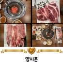 양지촌 | 경기도 용인 소고기맛집 양지촌에서 이베리코 흑돼지 먹고 반한 후기 feat. 우주최강 된장찌개