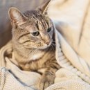 유앤아이동물병원 이미지