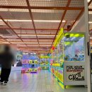 캑티 가챠샵(CACTI GACHA SHOP) 종각점 | 을지로 종각 가챠 캑티 가챠삽 종각점 캐릭터 산리오 마이멜로디 배드바츠마루