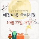 클로버 애견미용 이미지