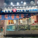 태평양산오징어