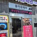 공릉역 고양이 30마리 깨끗한 꽁냥꽁냥 고양이카페 주말방문후기