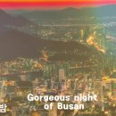 Dynamic Busan 다이나믹부산(부산의밤) 이미지