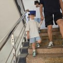 어시장회 | [경남 창원] 마산어시장 회포장 후기, 대광어 7만원은 못참지