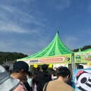 김밥천국 | 2025 김천 김밥축제 행사 주차장 셔틀버스 청암사 보건대 곱창 김밥천국 후기