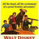 올드 옐러 ( Old Yeller , 1957 ) 이미지