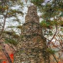 산림욕장 | 대전 단풍 명소 상소동 산림욕장 후기