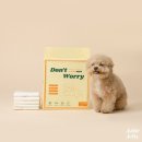 졸리젤리 이미지