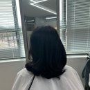 포항 문덕 미용실 &#39;하이포헤어&#39; 하정원장님 두피클리닉, 컷트 후기