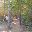 방울산등산로 이미지