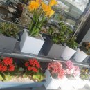 씨유 대저평강점 이미지