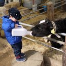 이든목장 이미지