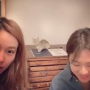 주식회사 우정 이미지