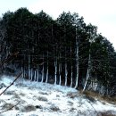 함평자연생태공원 이미지