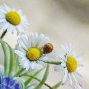 점진농장 이미지