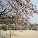 병곡초등학교 이미지