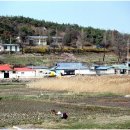 간척초등학교 이미지