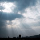 호림강변공원 이미지