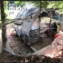 군포대야초교 이미지