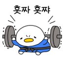 최강 명문체육관 이미지