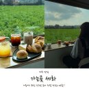 세화 | 제주 구좌 카페 가는곶 세화 내돈내산 완전 추천 후기!