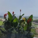 오즈스윗홈 이미지