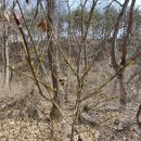 진중1리 이미지