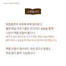 나도 작가, 나만의 책 만들기 이미지