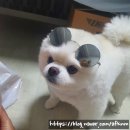 깡지맘쌀롱 네이버블로그