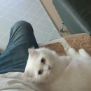 청소방해