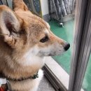 아이스N스낵창고 - 화성시 동탄역로 54 | 아이스N스낵창고