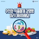 효원식품 이미지