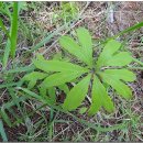 기룡산 등산로1 이미지